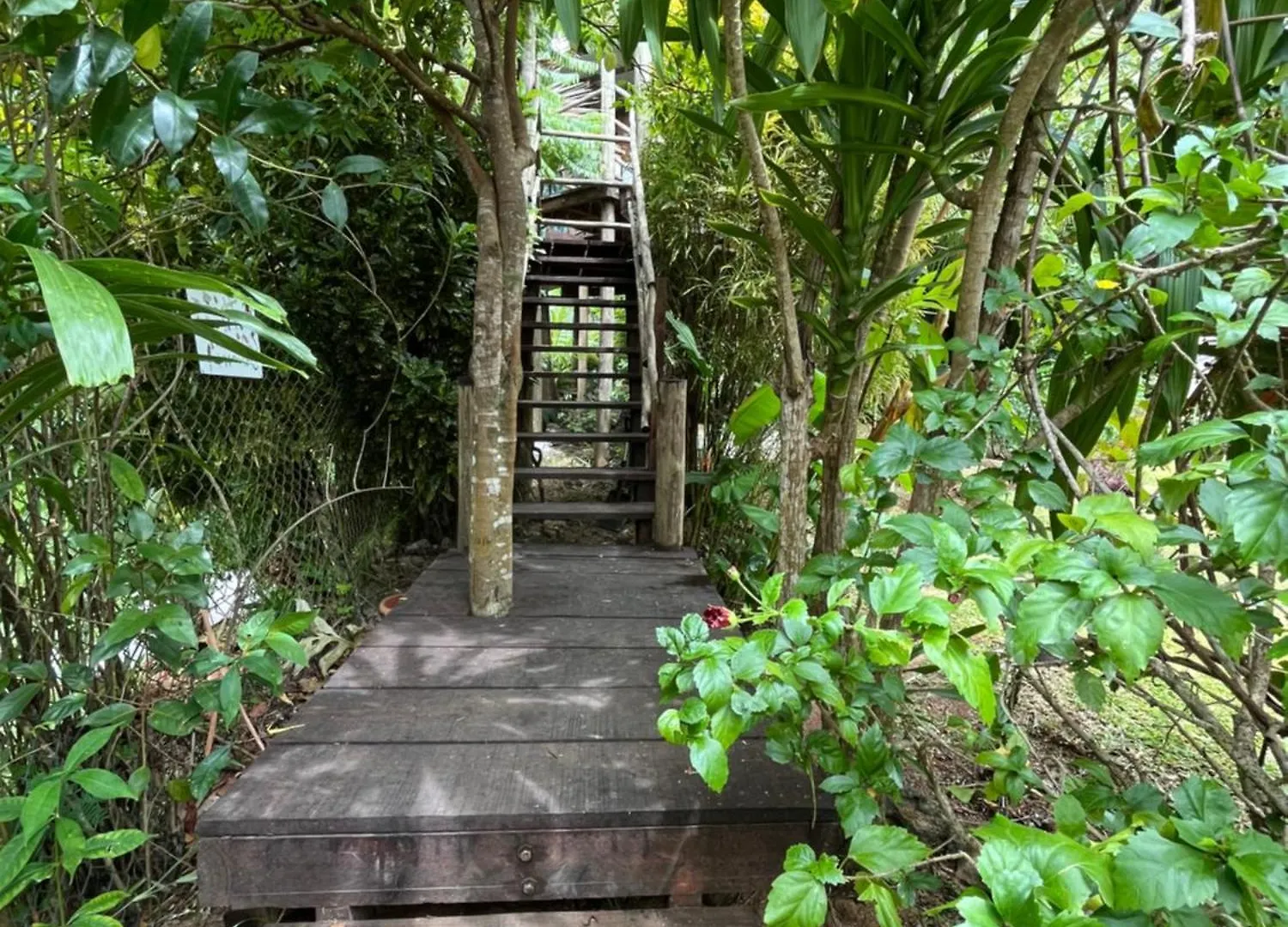 Royal Bay Villa And Apartment Anse Royale